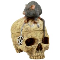 Pins & Bones Ouija Skull, Witch Gothic Home Decor Skull with Mouse by pinsandbones.com