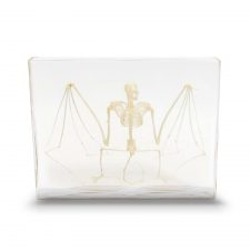Pins & Bones Bat Skeleton Home Decor, Genuine Bat Remains in Glass Top by pinsandbones.com