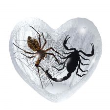 Pins & Bones Heart Shaped Spider & Scorpion Glass Top, Genuine Remains by pinsandbones.com