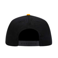 Pins & Bones Hellbound Hat, Hell Bound Cap, Black & Yellow Gothic Snapback Hat, One Size Fits All by pinsandbones.com